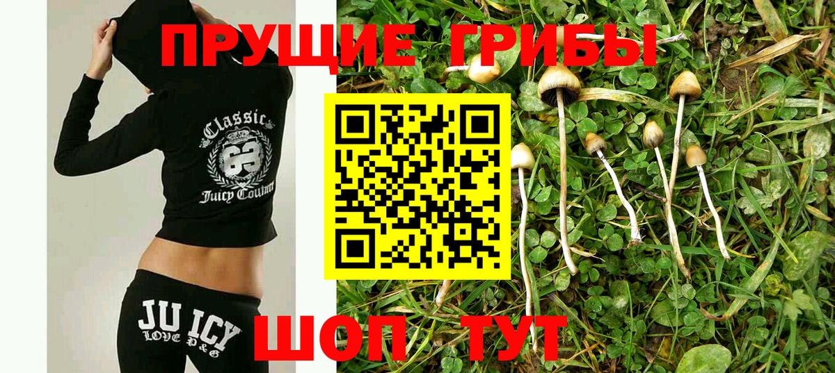 Галлюциногенные грибы мухоморы  Галлюциногенные грибы Magic Shrooms  Елец  Вход с VPN 